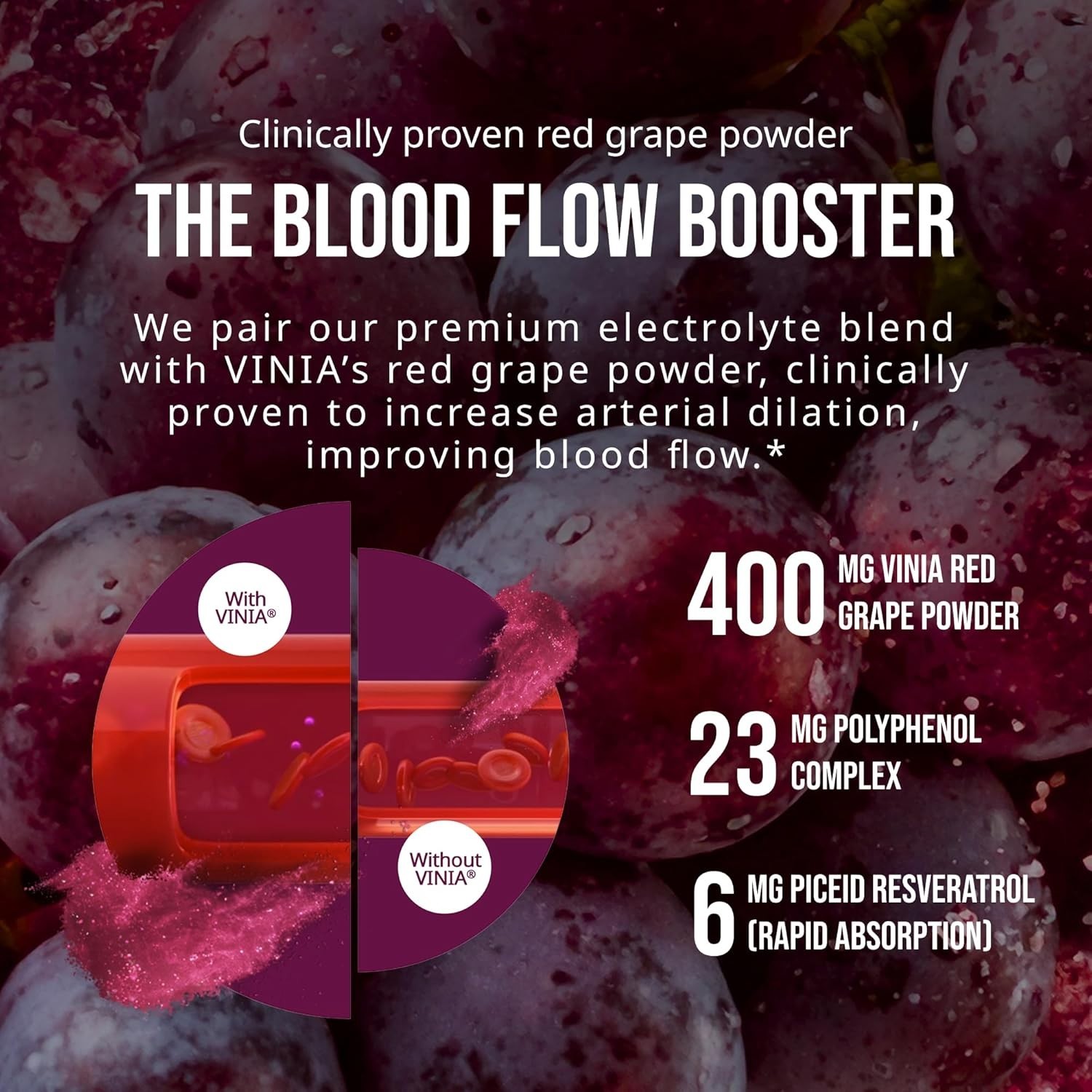 Blood Flow Hydration Powder Mix with Electrolytes 10 Sticks Variety Pack