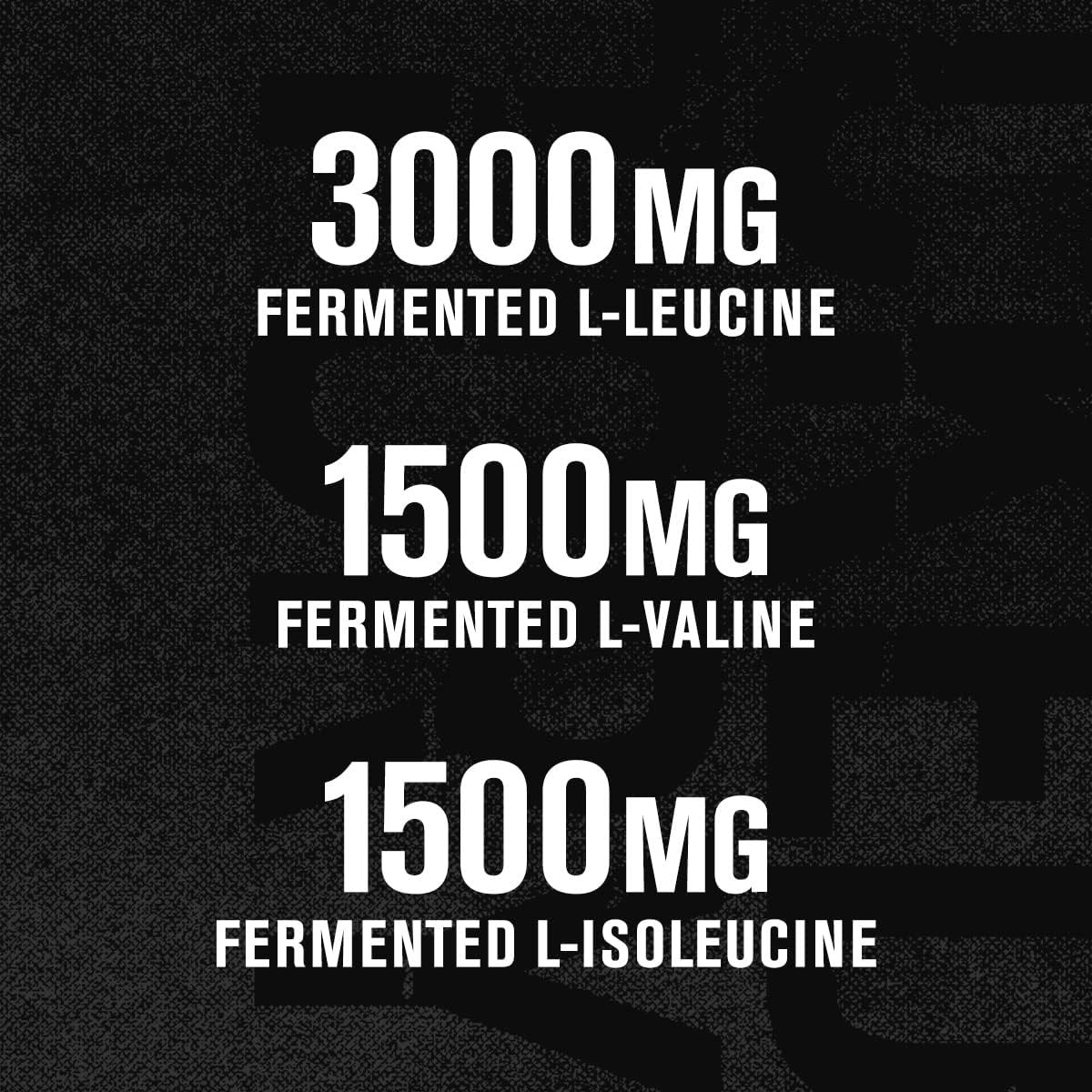 BCAA Powder (Fermented) – 6G Branched Chain Essential Amino Acid Supplement for