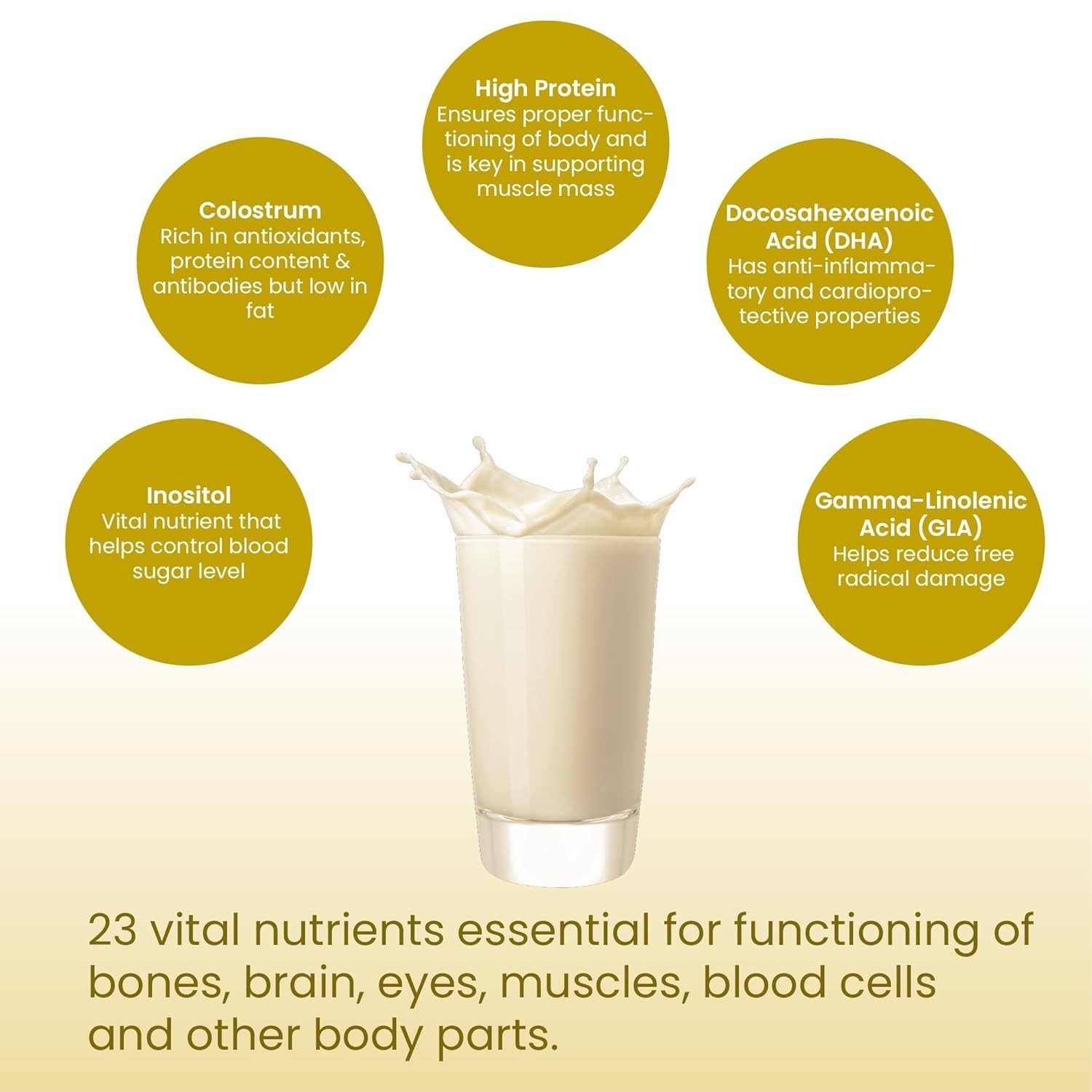 High Protein Powder with 23 essential nutrients For Overall Fitness | Vanilla