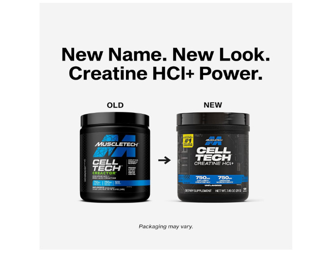 MuscleTech Cell-Tech Creactor Creatine 8.47 Ounce (Pack of 1), 120 Servings