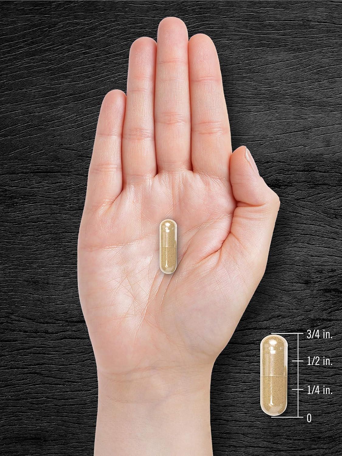 Carlyle Pygeum Supplement 1300mg | 240 Capsules | Non-GMO, Gluten Free | Bark