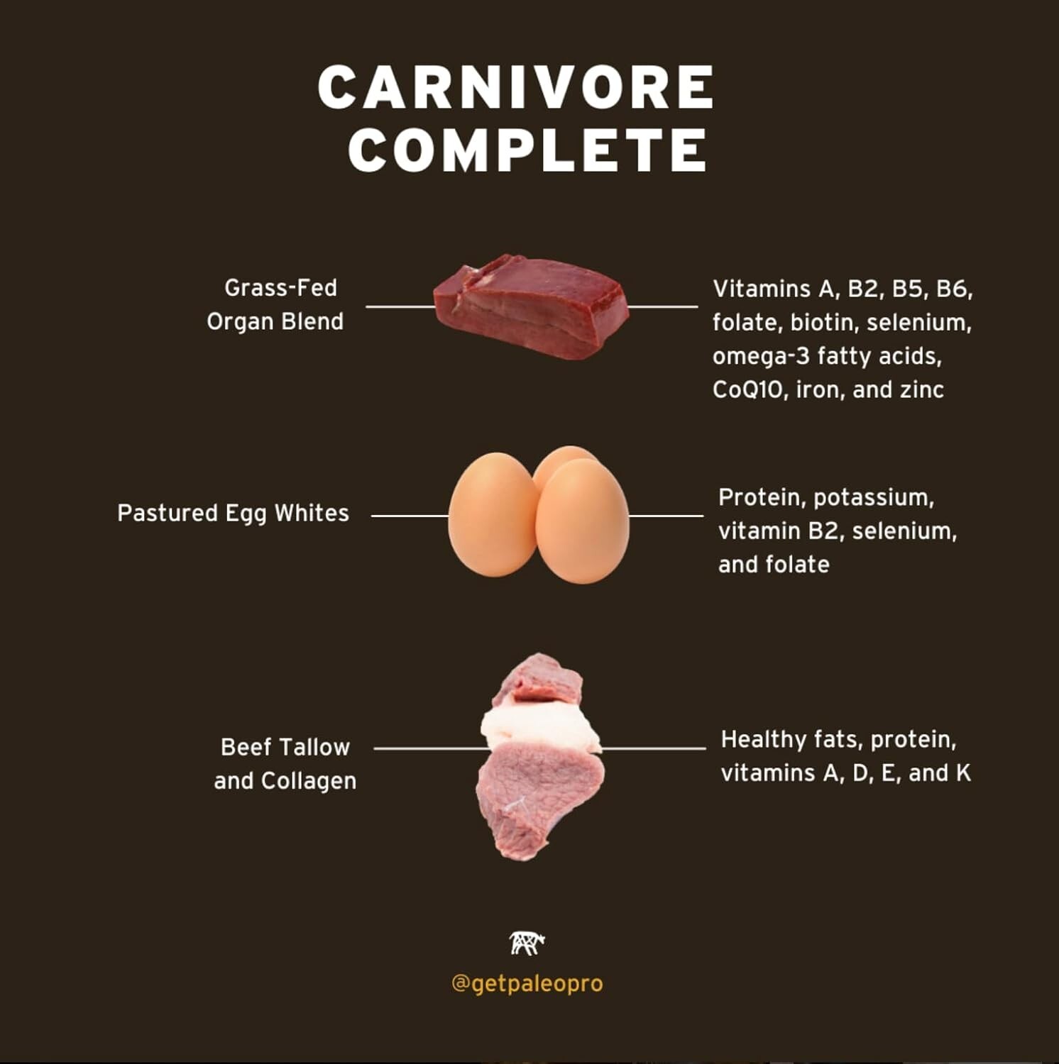 Carnivore Complete Keto Protein Powder – Ancient Cacao, Cage-Free & Grass-Fed