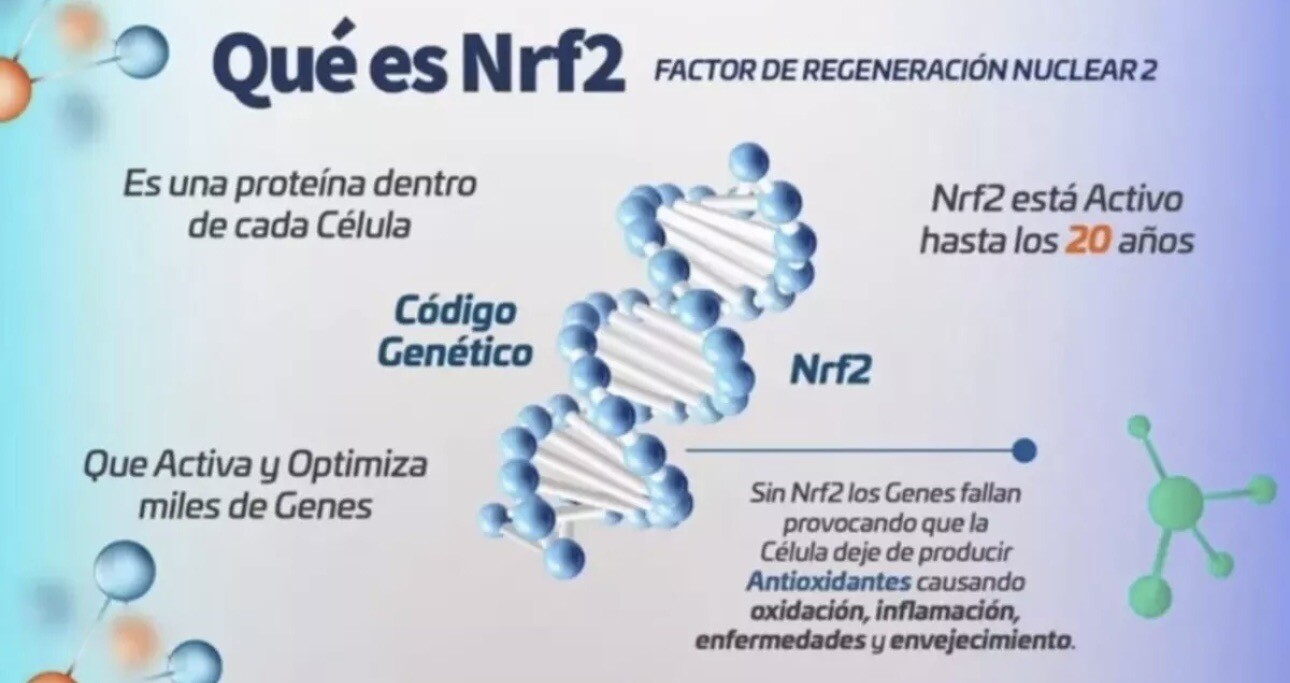 ACTIVZ COMBO : 1 GNMX + 1 LINQ + 1 OPTIMEND + 1 AIRO RESTORE YOUR HEALTH