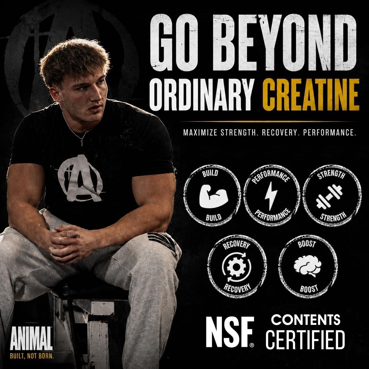 Micronized Creatine Monohydrate Capsules – 300 Caps, 2500mg per Serving to Su…