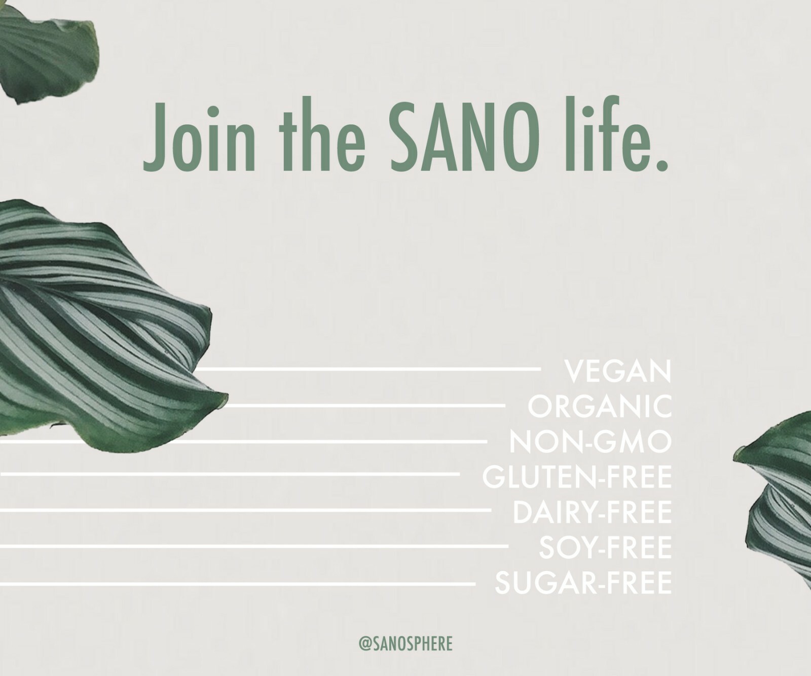 SANO Organic Vegan Plant-Based Protein Powder, Vanilla (14 Servings)