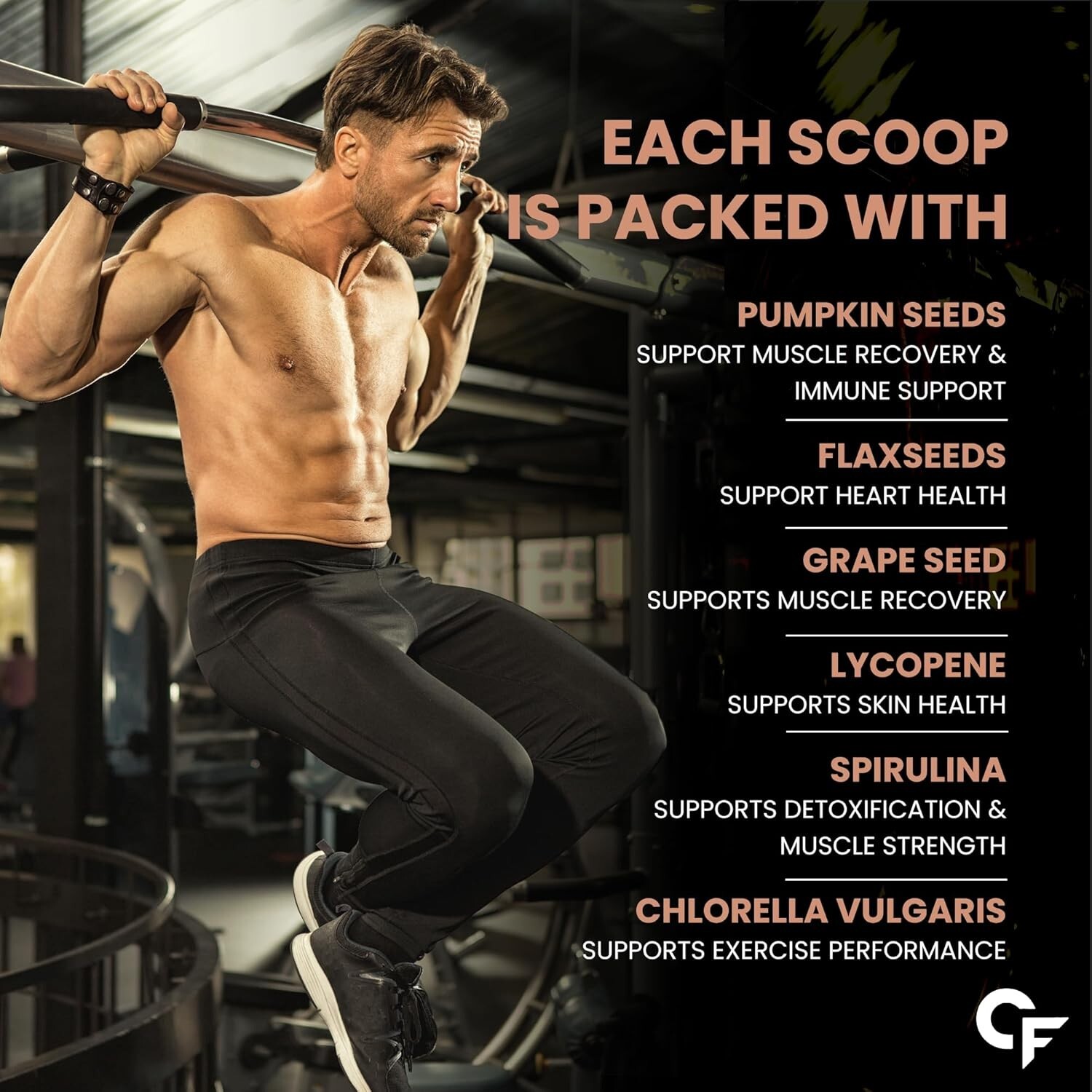 Carbamide Forte Plant Protein Powder:Multivitamin, Minerals,Superfoods 5 Flavors