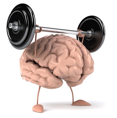 Antioxidant powder BRAIN & MEMORY BOOSTER COMPLEX immune support organic 3 Bot