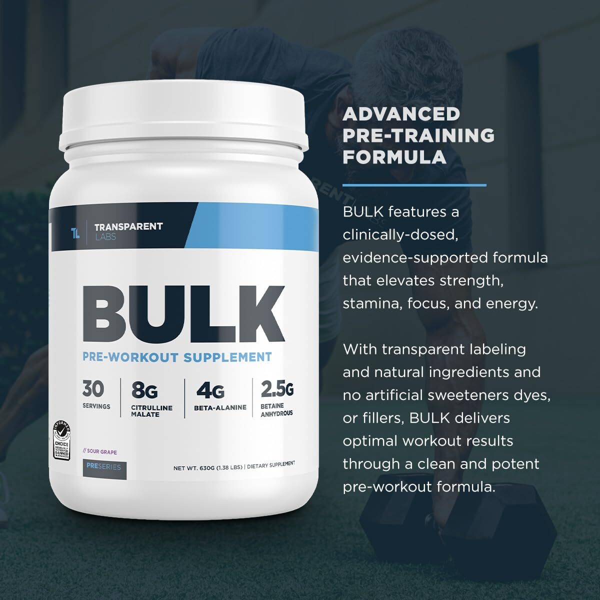 Transparent Labs Bulk Pre Workout Supplement 30 Servings Energy & Performance