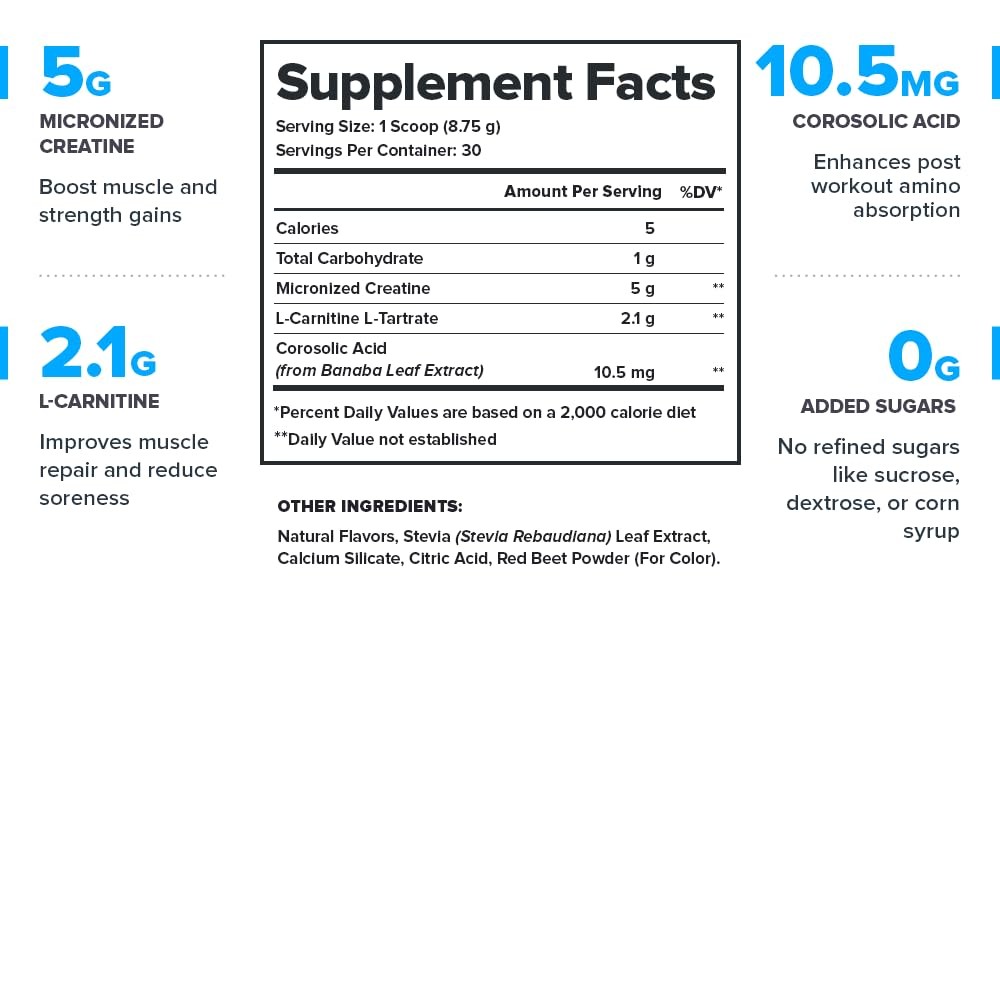 Recharge Post Workout Recovery Powder Clean Creatine Muscle Builder 30 Servings