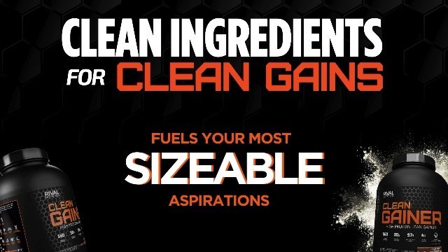 Clean Gainer Protein Powder – Chocolate Fudge Flavor, 5lbs for Muscle Growth
