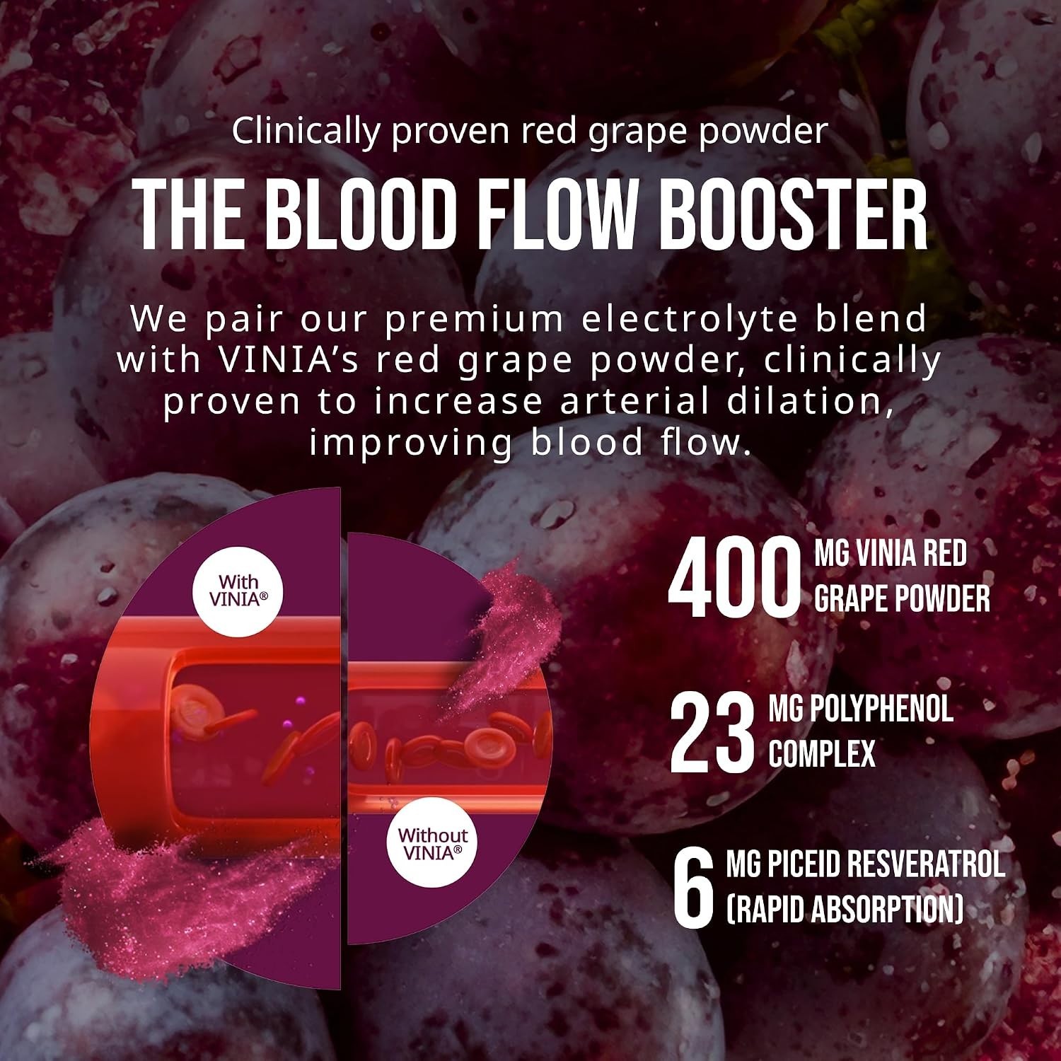 Resveratrol Electrolyte Hydration Powder Mix | Boost Blood Flow & Circulation…