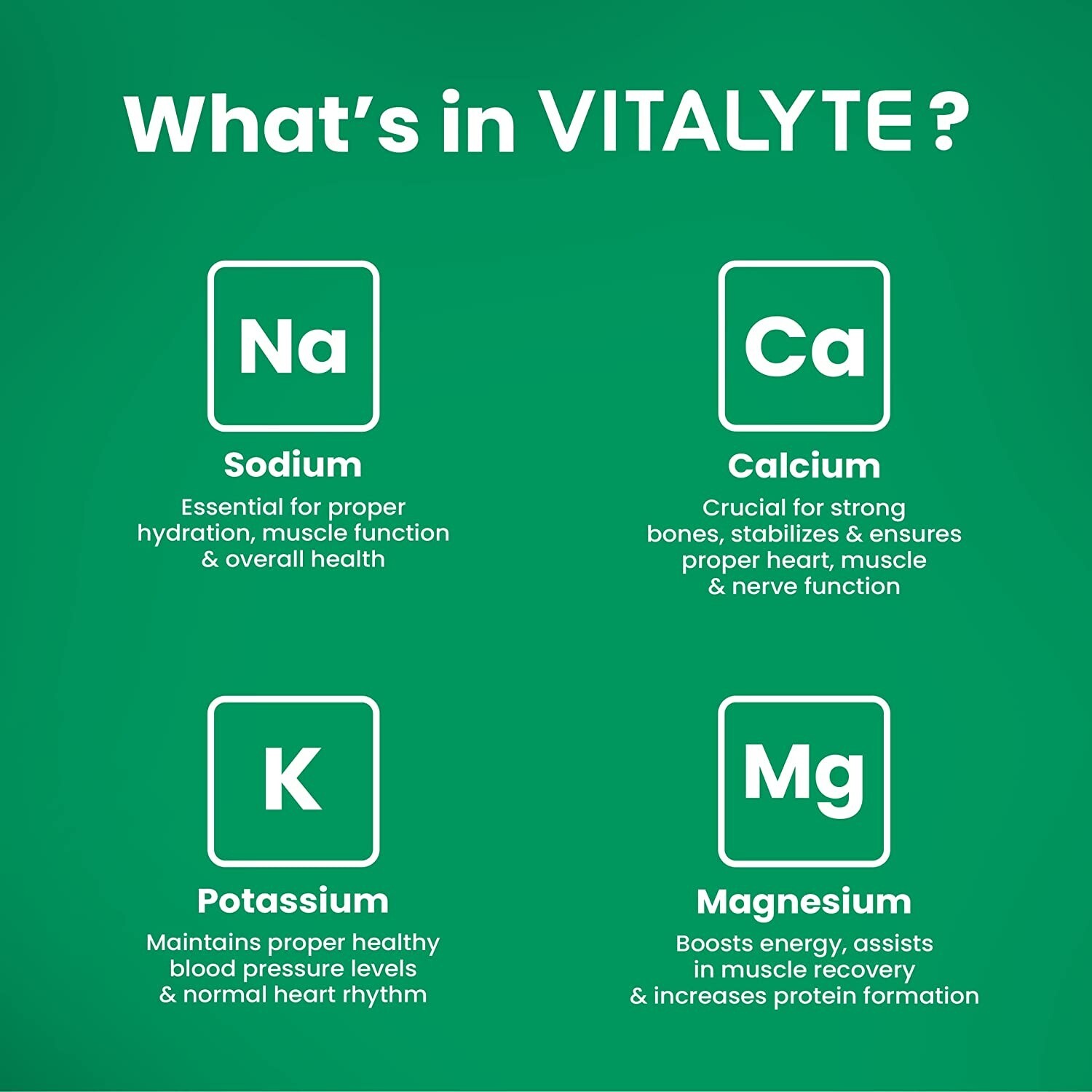 Vitalyte Electrolyte Powder Drink Mix Bundle, Pouch + Packets, Watermelon Flavor