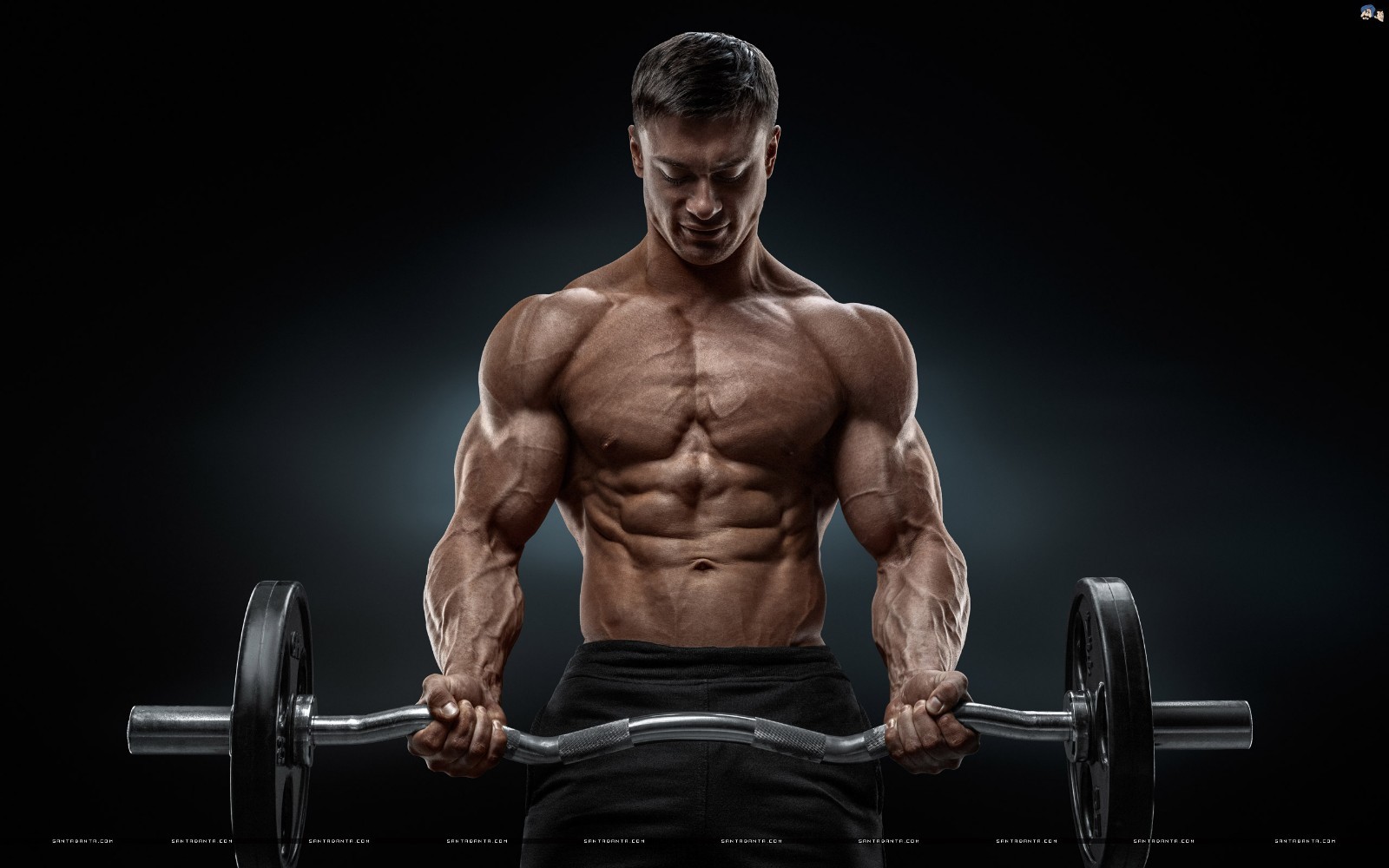 peruvian maca root – Best Testosterone Booster – niacin tablets 2 Bottles