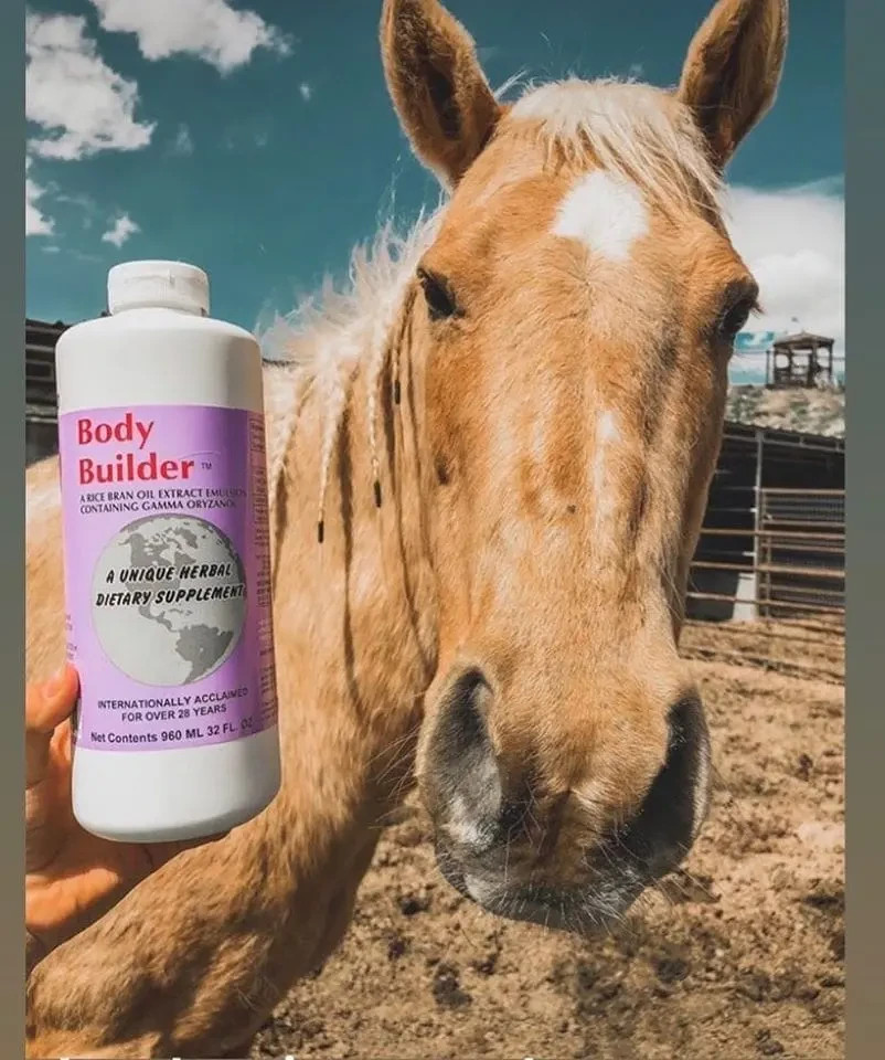 Equiade Body Builder Oil Supplement for Animals and Humans 32 oz.
