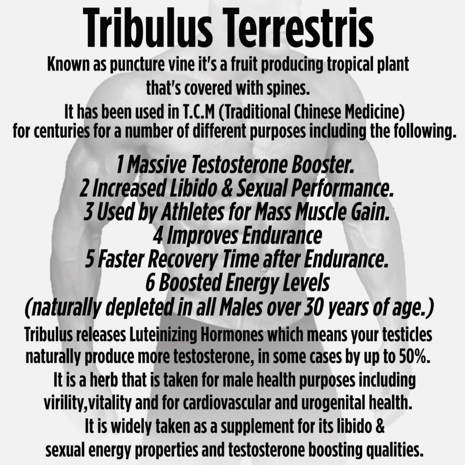 360 TRIBULUS TERRESTRIS PILLS STRONGEST BIGGER MUSCLES BODYBUILDING TESTOSTERONE