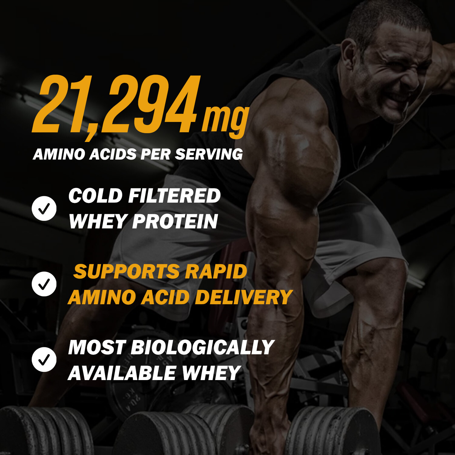 Whey Protein Muscle Powder with 25g Protein, 162 Servings, 12LB,