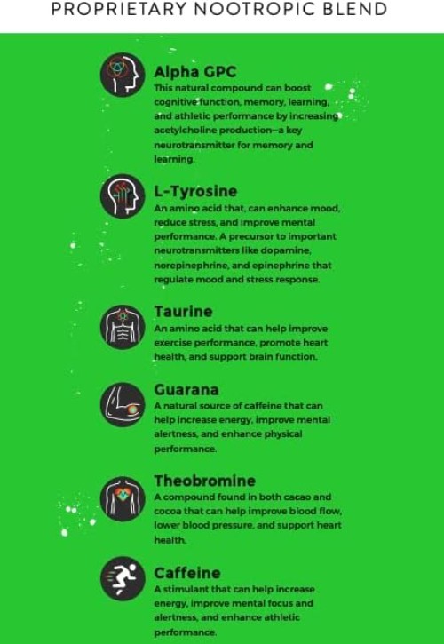 Fully Loaded Alpha Fuel Nootropic Pouches Wintergreen Fuel – Nootropic Energy…