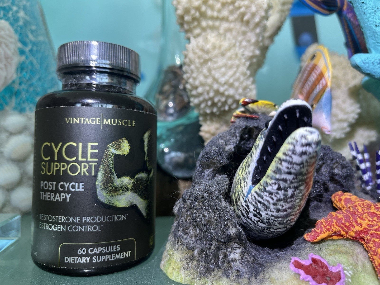 Cycle🔁Support Post Cycle Therapy 💊4 Test Production By Vintage Muscle💪🏛️