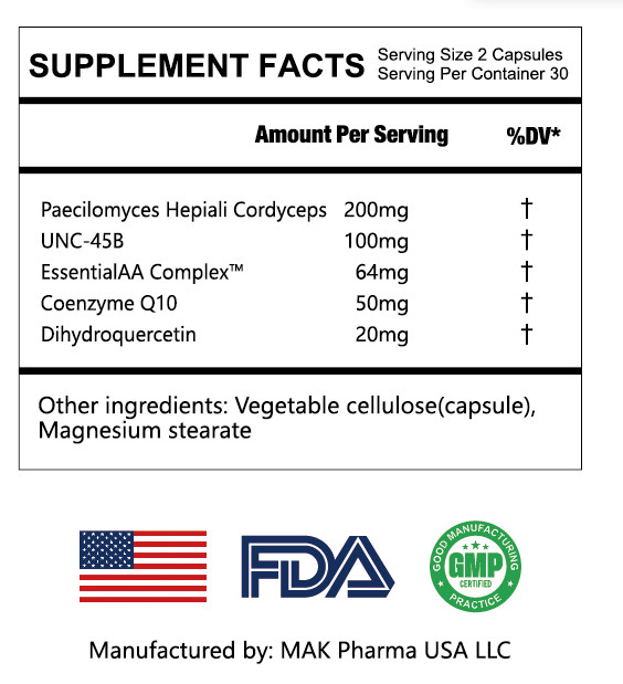 UNC-45 Human Muscle Creator and Builder – 60 Capsules/Bottle