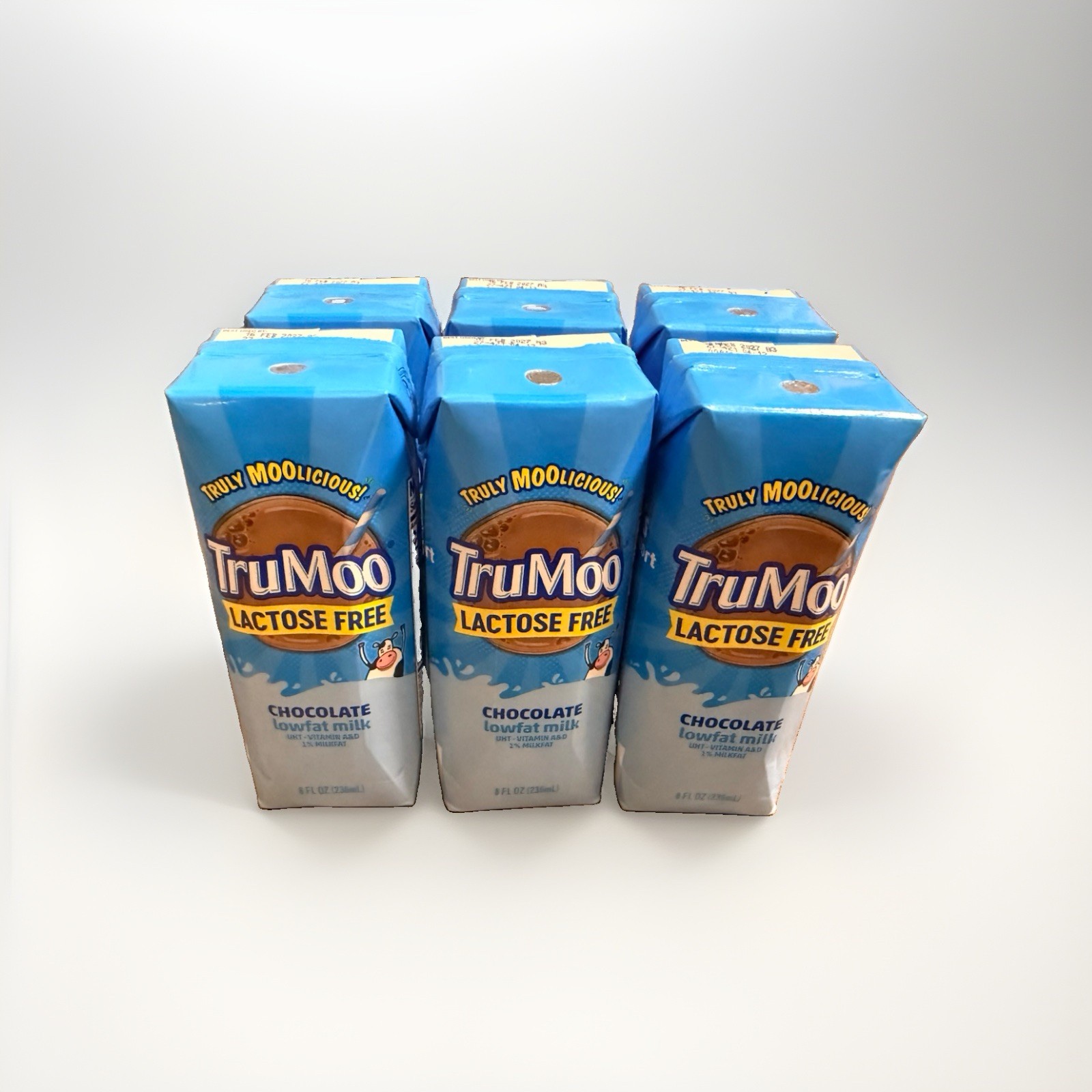 TruMoo Lactose Free Chocolate 1% Low-Fat Milk UHT 8 Fl Oz 6-Pack (48 Fl Oz Total