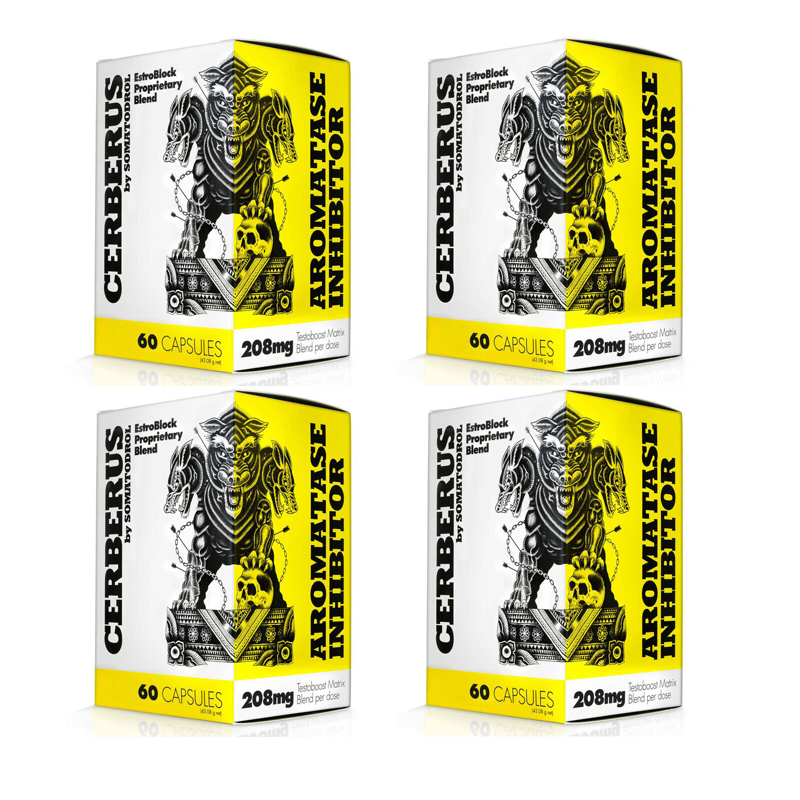 CERBERUS – PREMIUM Testosterone Booster & Estrogen Blocker – Muscle Mass Builder