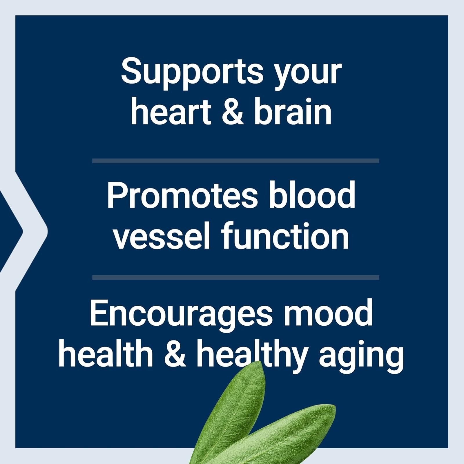 Life Extension Super Omega-3 EPA/DHA Fish Oil 60 Softgels