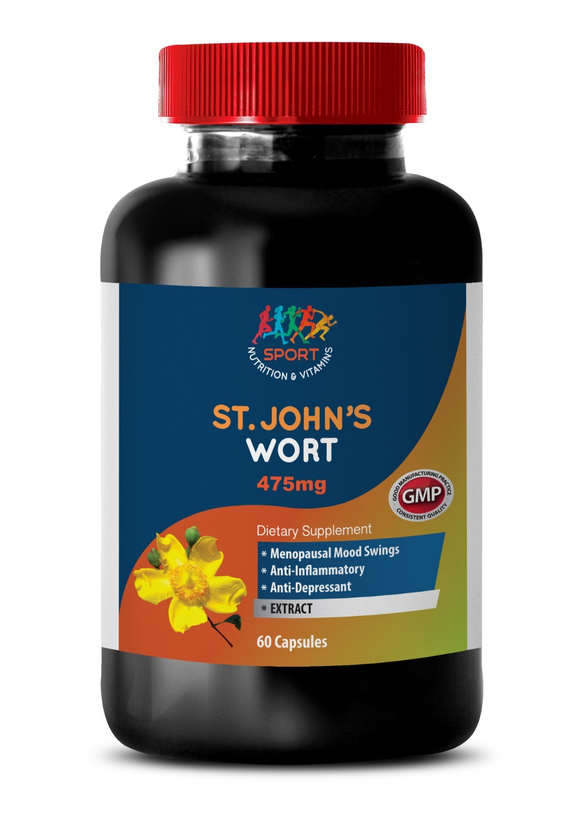 Ginkgo Bilboa – ST. JOHN’S WORT EXTRACT – Pure Ingredients – 1Bot 60Ct