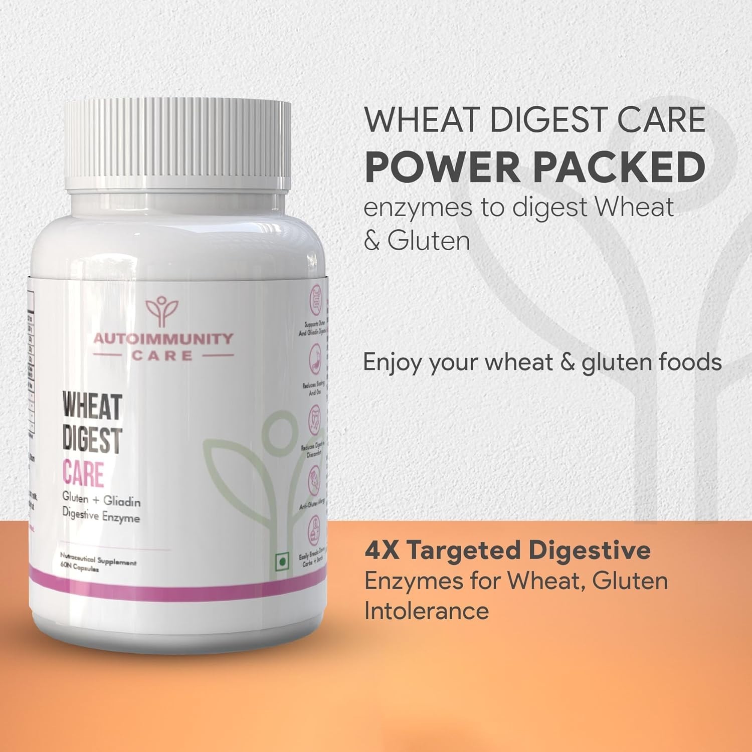 Autoimmunity care Wheat Digest Care | Gluten + Gliadin Digestive Enzyme 60 Caps