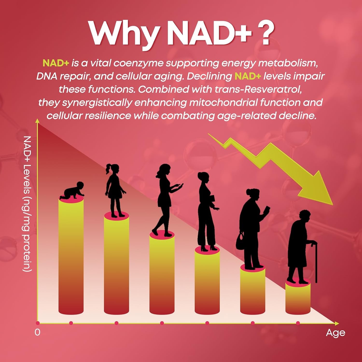 NAD+ Gummies, 1200mg Liposomal NAD Supplement for Women & Men with Trans-Resvera
