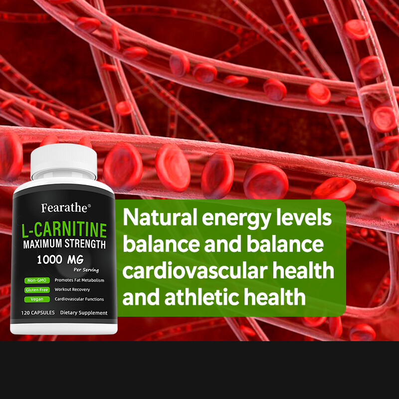 L-Carnitine – Balances Cardiovascular Health and Fat Metabolism