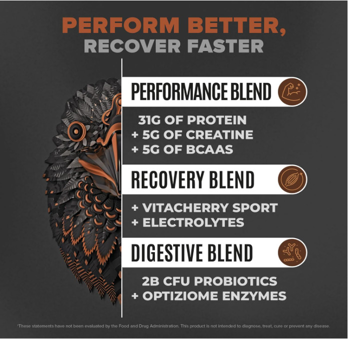 Birdman Falcon Vegan Protein Powder, Chocolate, 31g Protein, 28 Servings