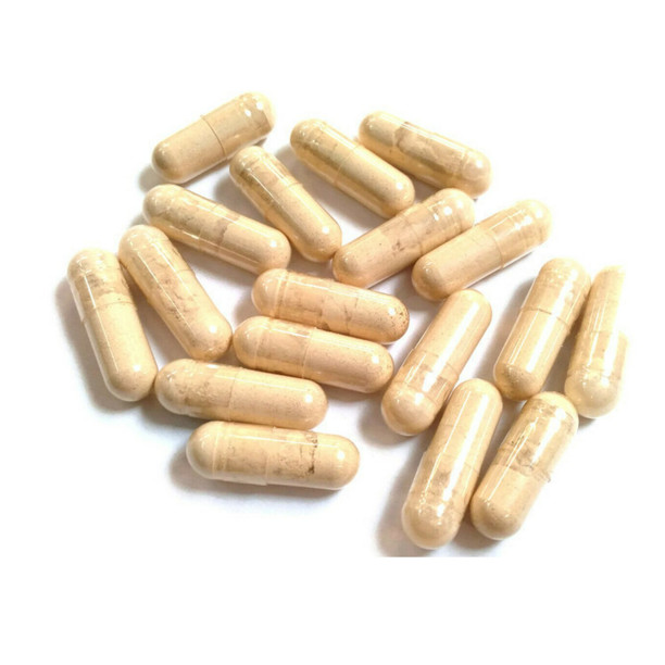 Irish Moss Seaweed Powder Caps (CHONDRACANTHUS CHAMISSOI) – RED ALGAE 100 Caps