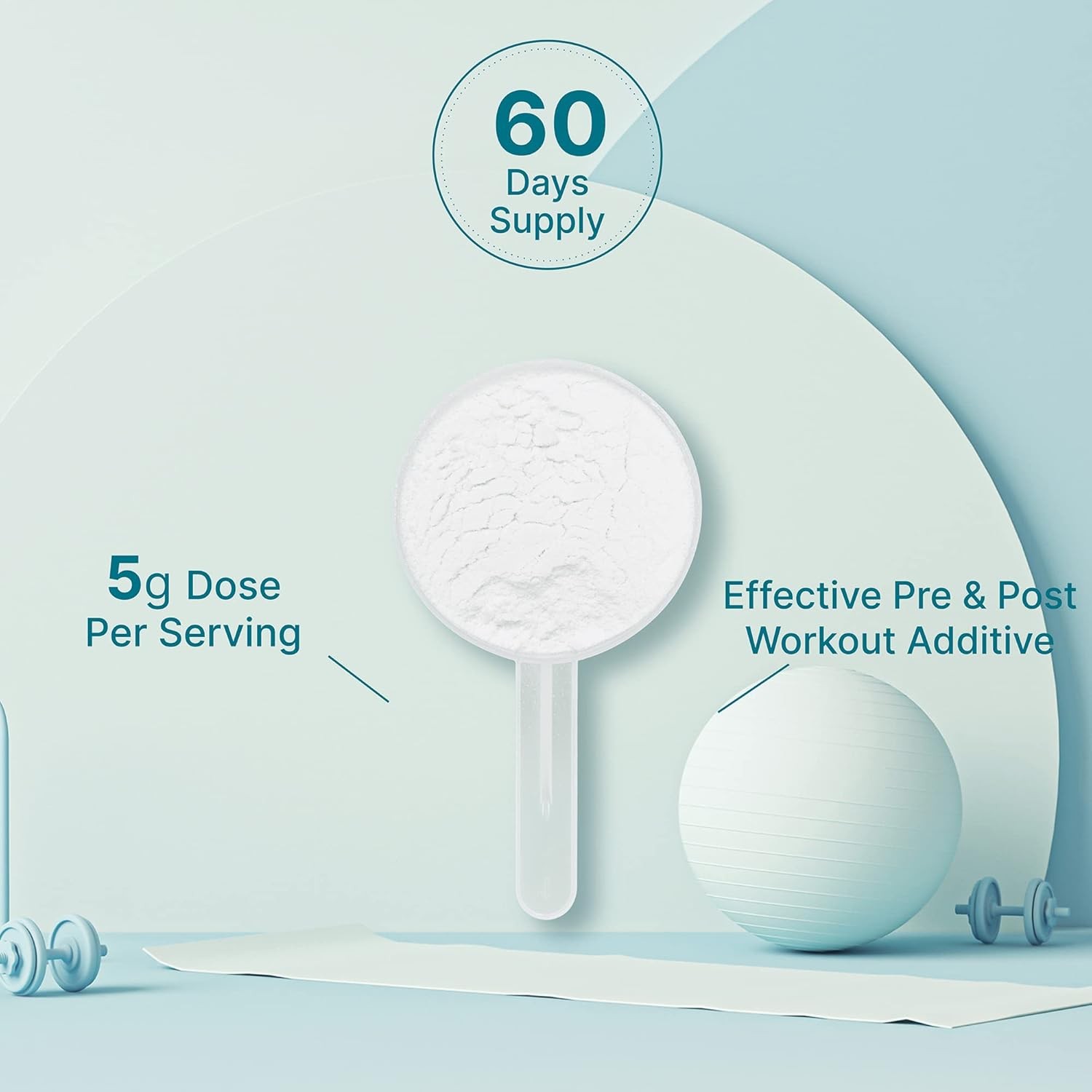 Instant Creatine Monohydrate Powder, 5g Per Serving – 60 Servings (Pack of 1)