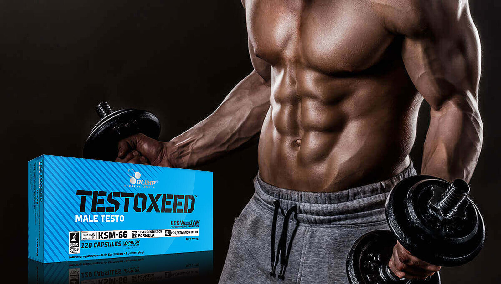 TESTOXEED – Testosterone Booster Muscle Building Male Testo PRO_Activation Blend