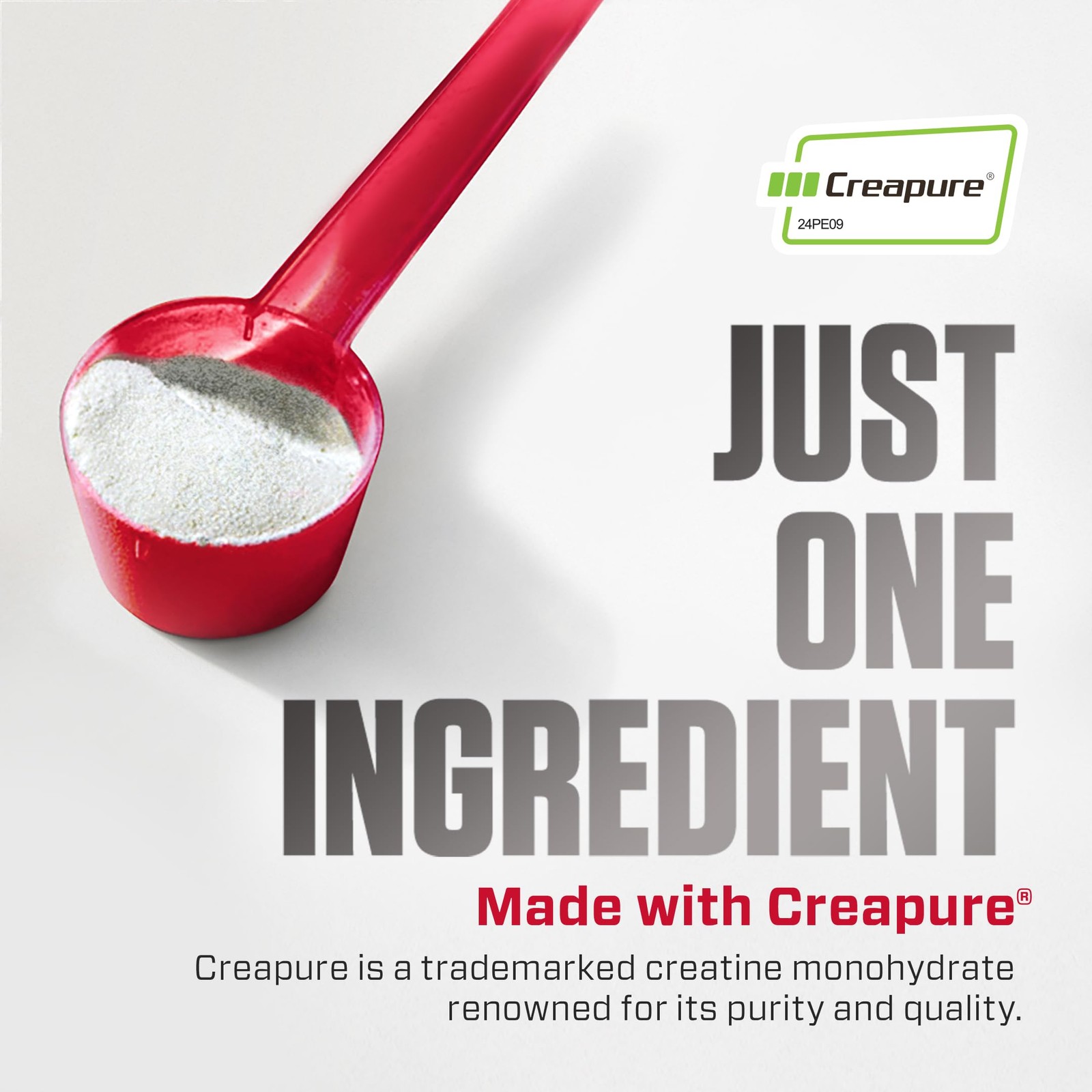 Dymatize Creatine Monohydrate Powder with CREAPURE (Product of Germany), 5g P