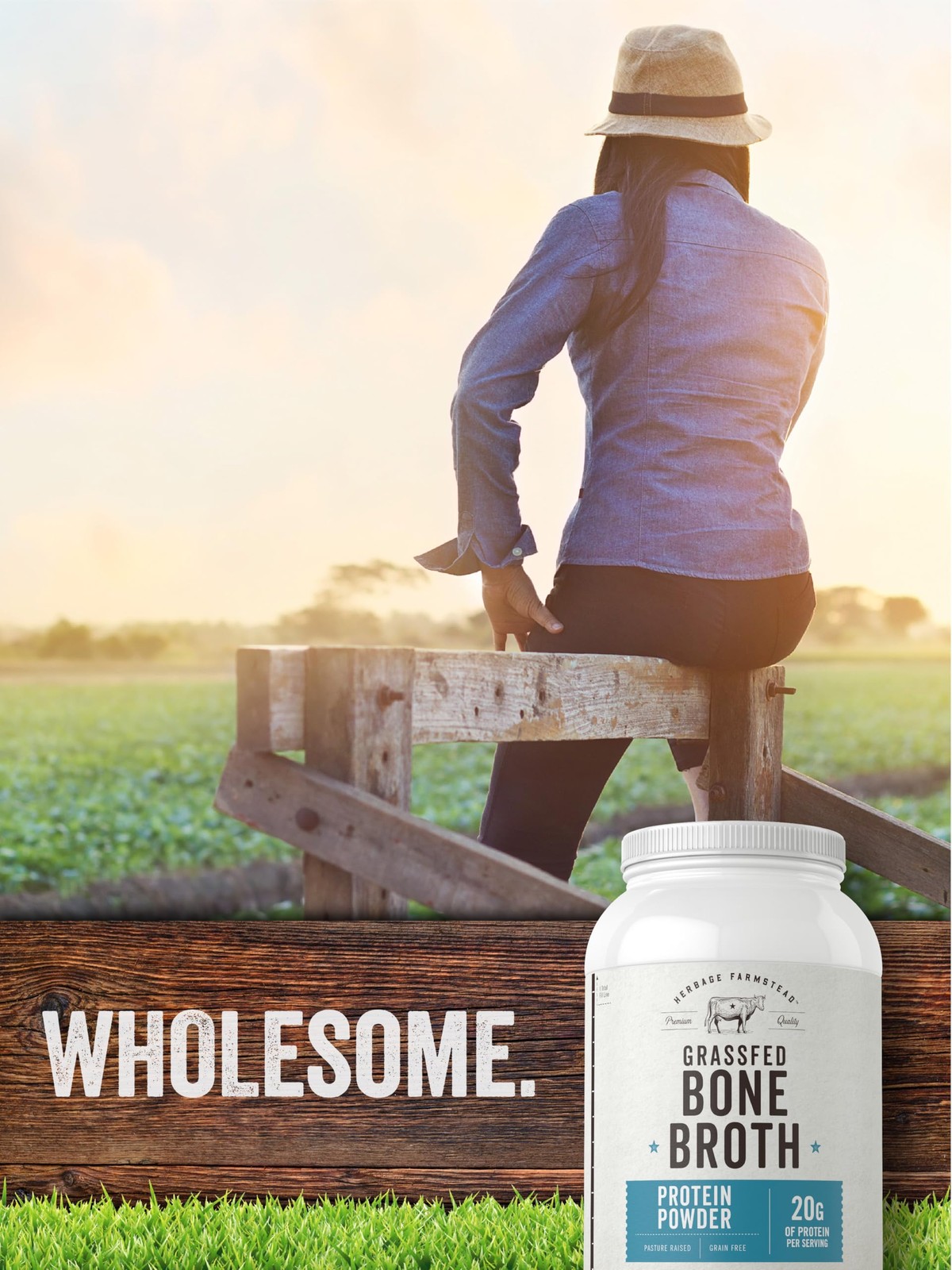 Carlyle Grass Fed Bone Broth Protein Powder | 35.2 oz 2.2 Pound (Pack of 1)