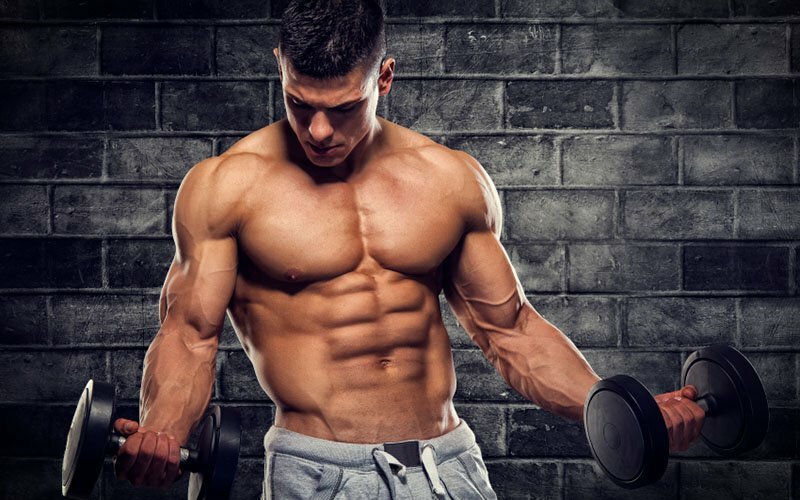 bulgarian tribulus – Tribulus Terrestris 1000mg – muscle builder 1 Bottle 60 Tab