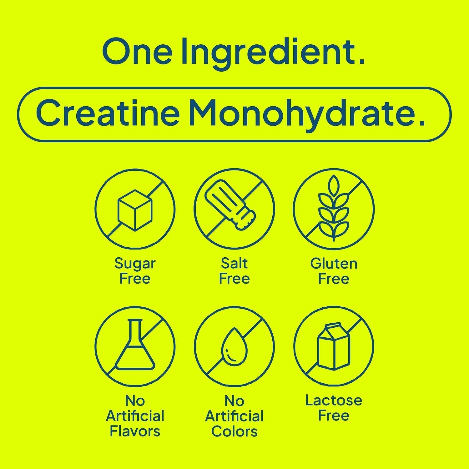 Micronized Creatine Monohydrate Powder for Women & Men – 5g Pure Creatine for…