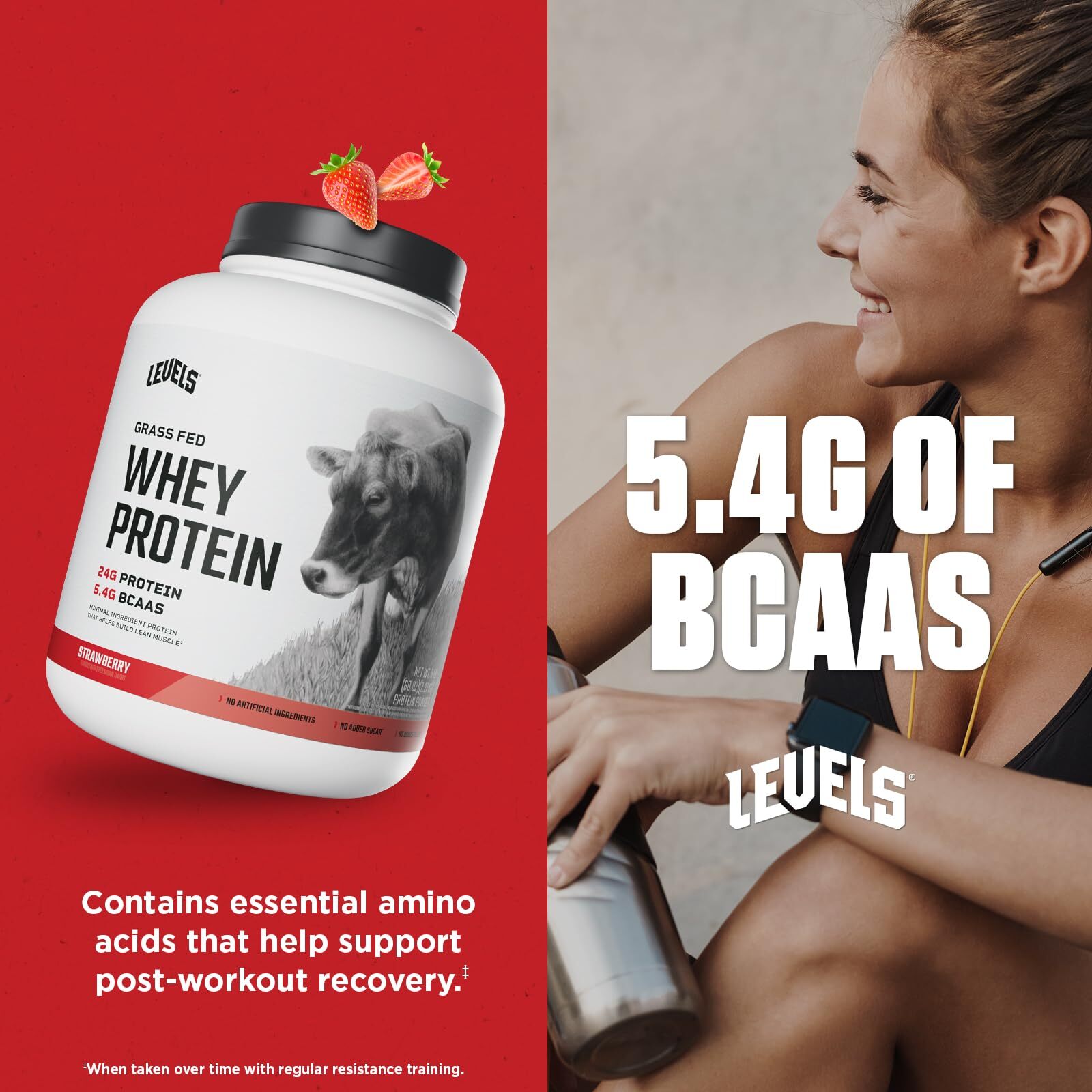Levels Grass Fed Whey Protein Powder No Artificials 24G of Protein Strawberry…