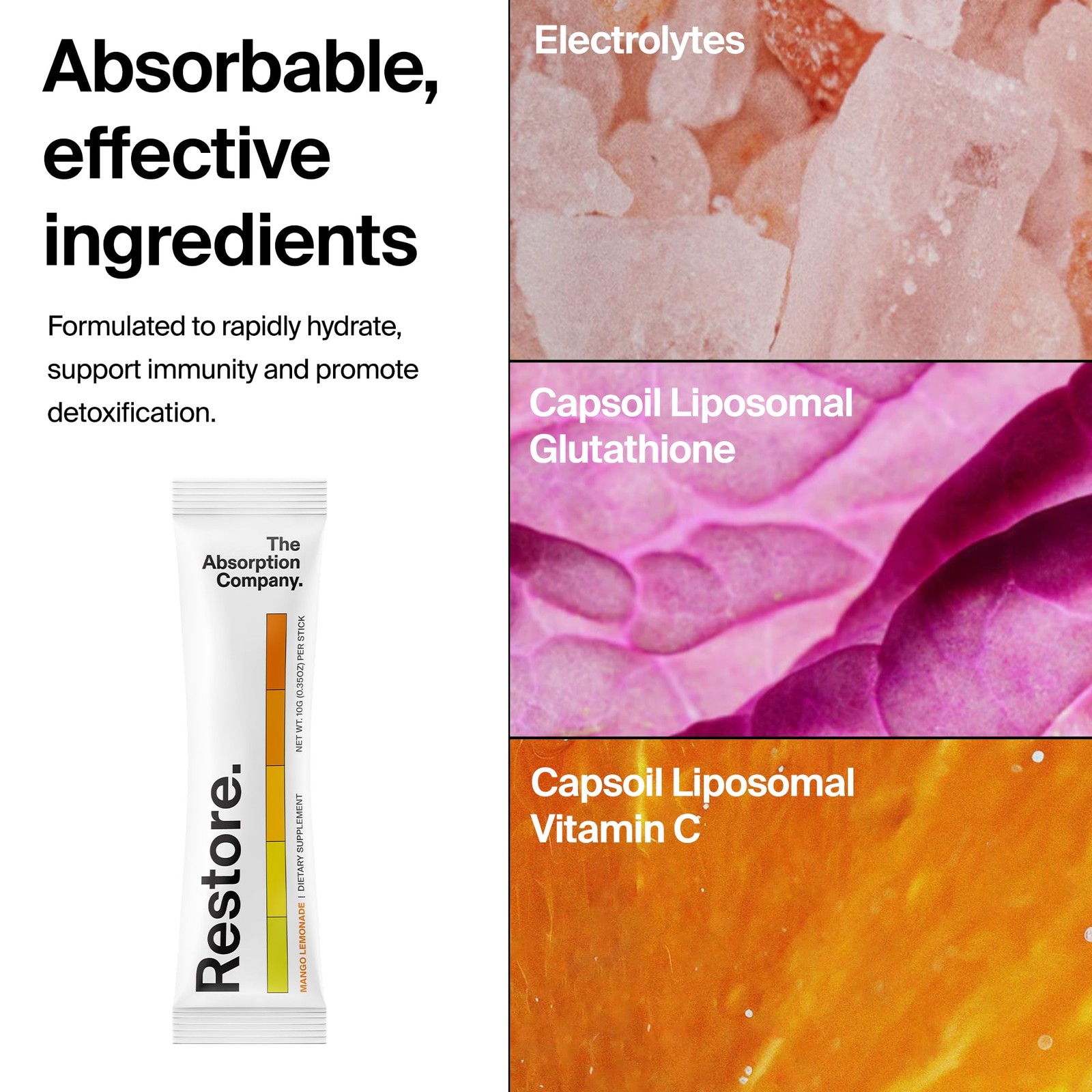 The Absorption Company Electrolyte Powder Packets – Workout Recovery Hydration