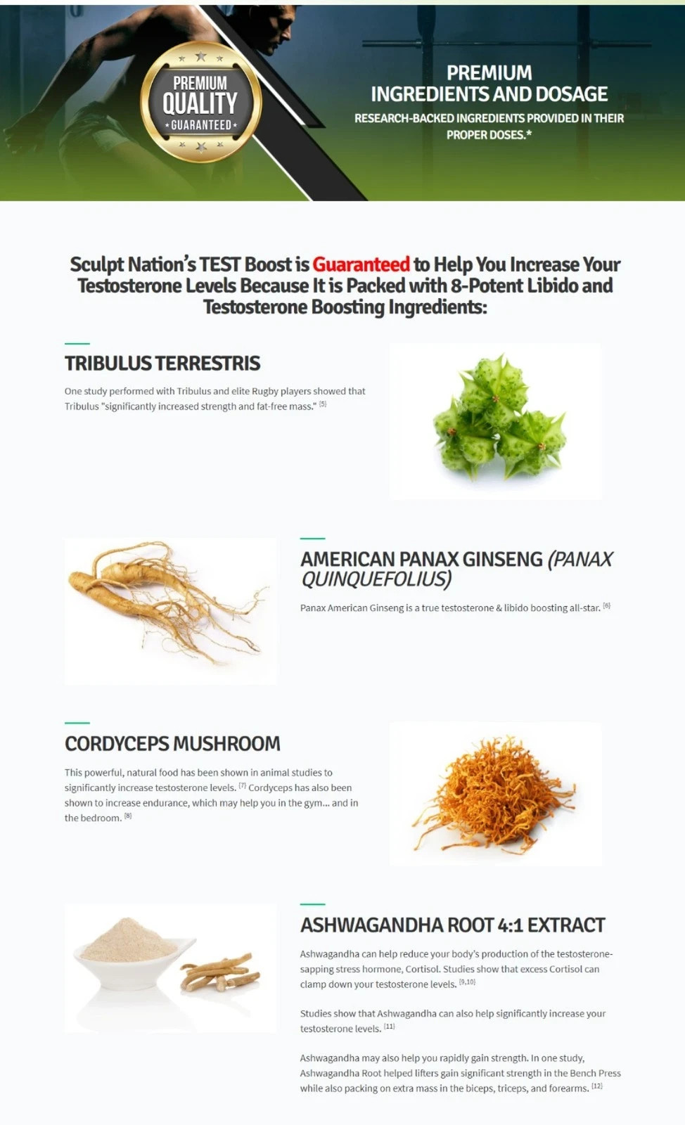 TEST BOOST Max Sculptnation Build Muscle Men Fat Weight Loss – New &