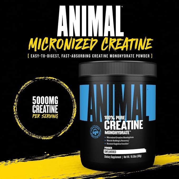 Animal Creatine Monohydrate Powder — Micronized for Muscle Recovery, Cellular En