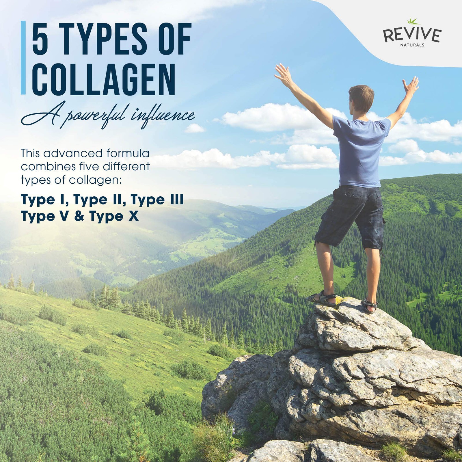 Multi Collagen Protein Powder Packets – Types I, II, 0.35 Ounce (Pack of 20)