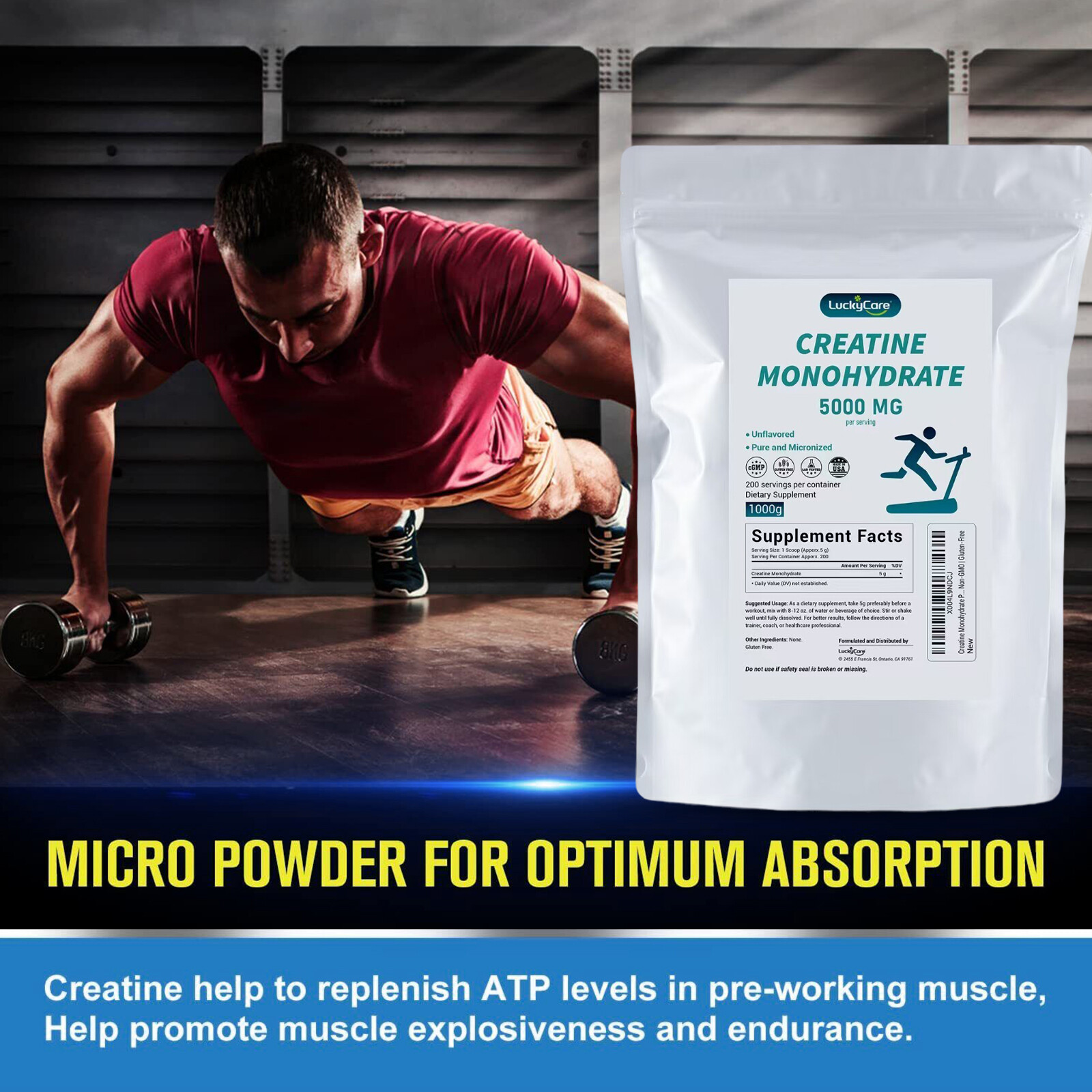 Muscle Gainer Protein Powder Optimum Nutrition Protein Muscle Gainer Fitness US
