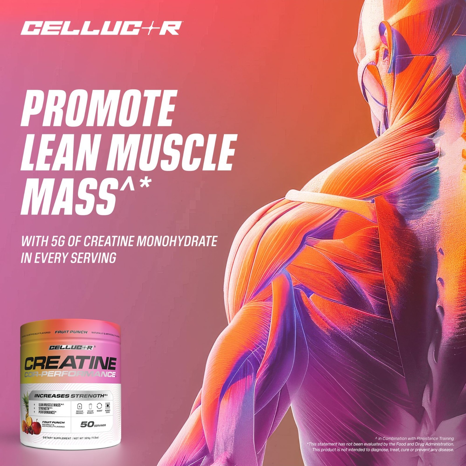 Creatine Powder Fruit Punch Boost Strength, Lean Muscle & Endurance, 5g/Serving