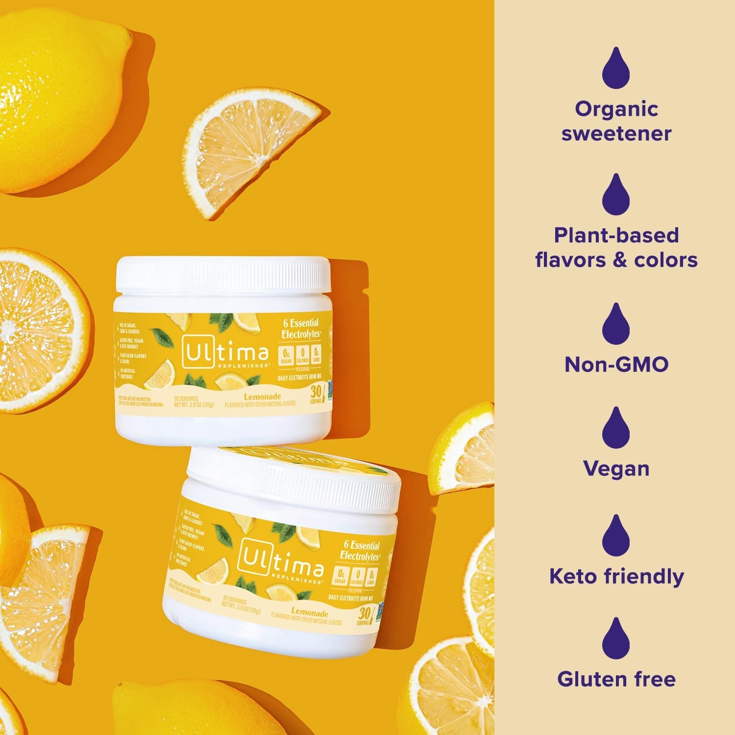 Plant-Based Lemonade Electrolytes – 30 Servings of Sugar-Free Hydration Powder