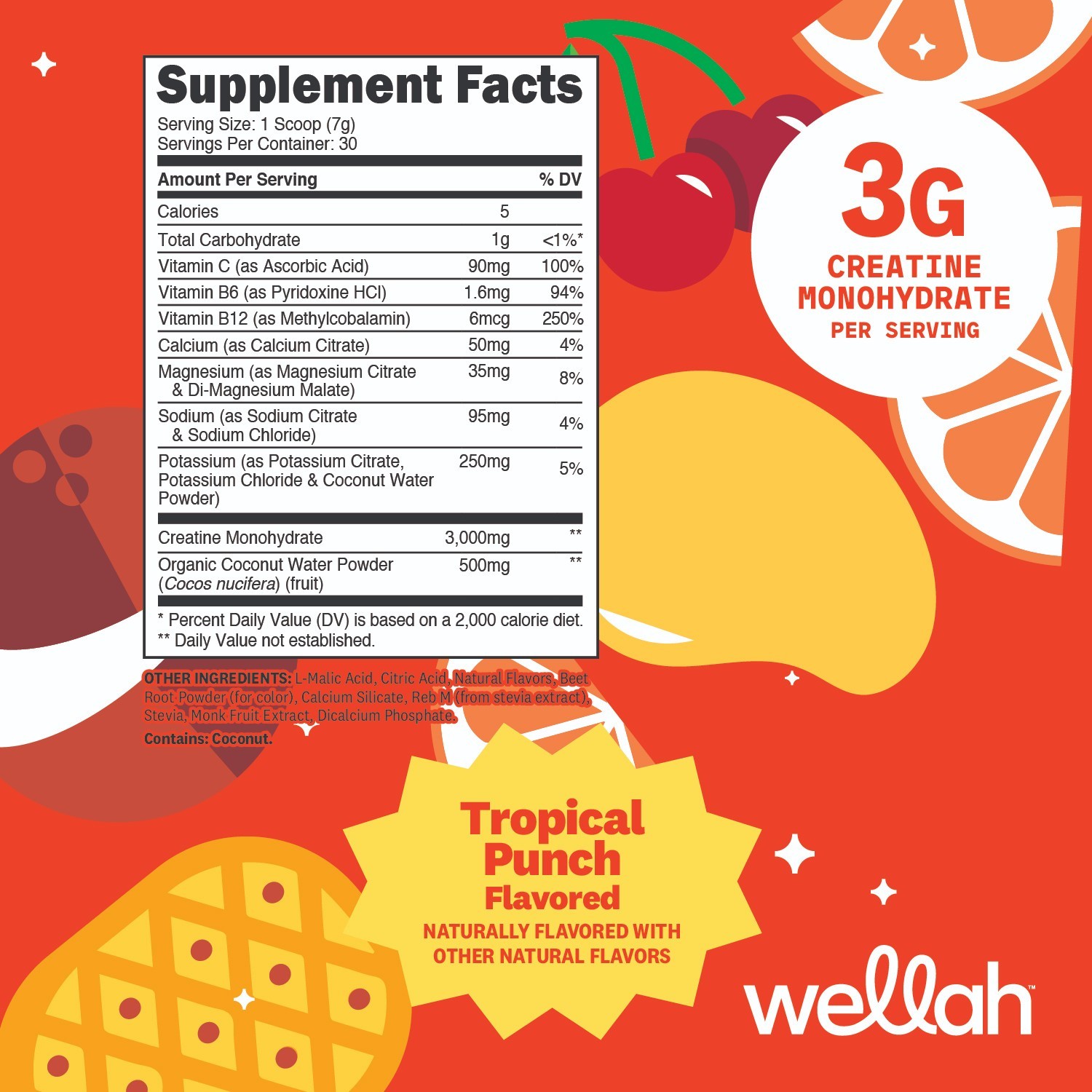 Wellah Creatine + Hydration Powder (Fruit Punch) 30 Servings – Drink Mix