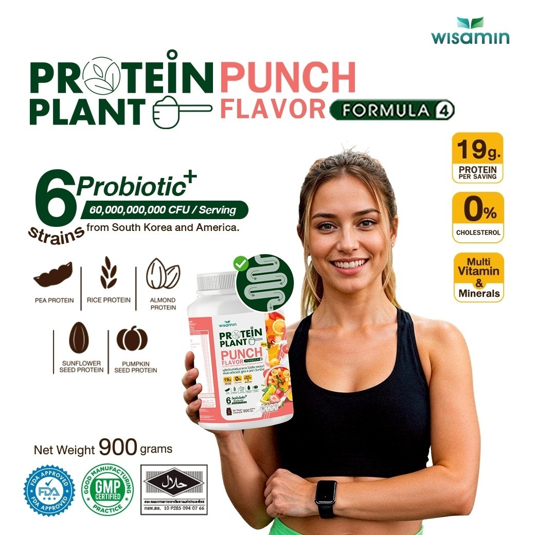 WISAMIN Plant Protein F4 Punch Flavor 900g | Organic Halal Gluten-Free Non-GMO