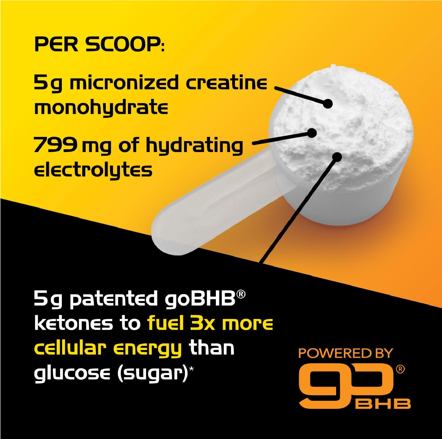 Micronized Creatine Monohydrate Powder – Stim Free Pre Workout with Creatine 5g