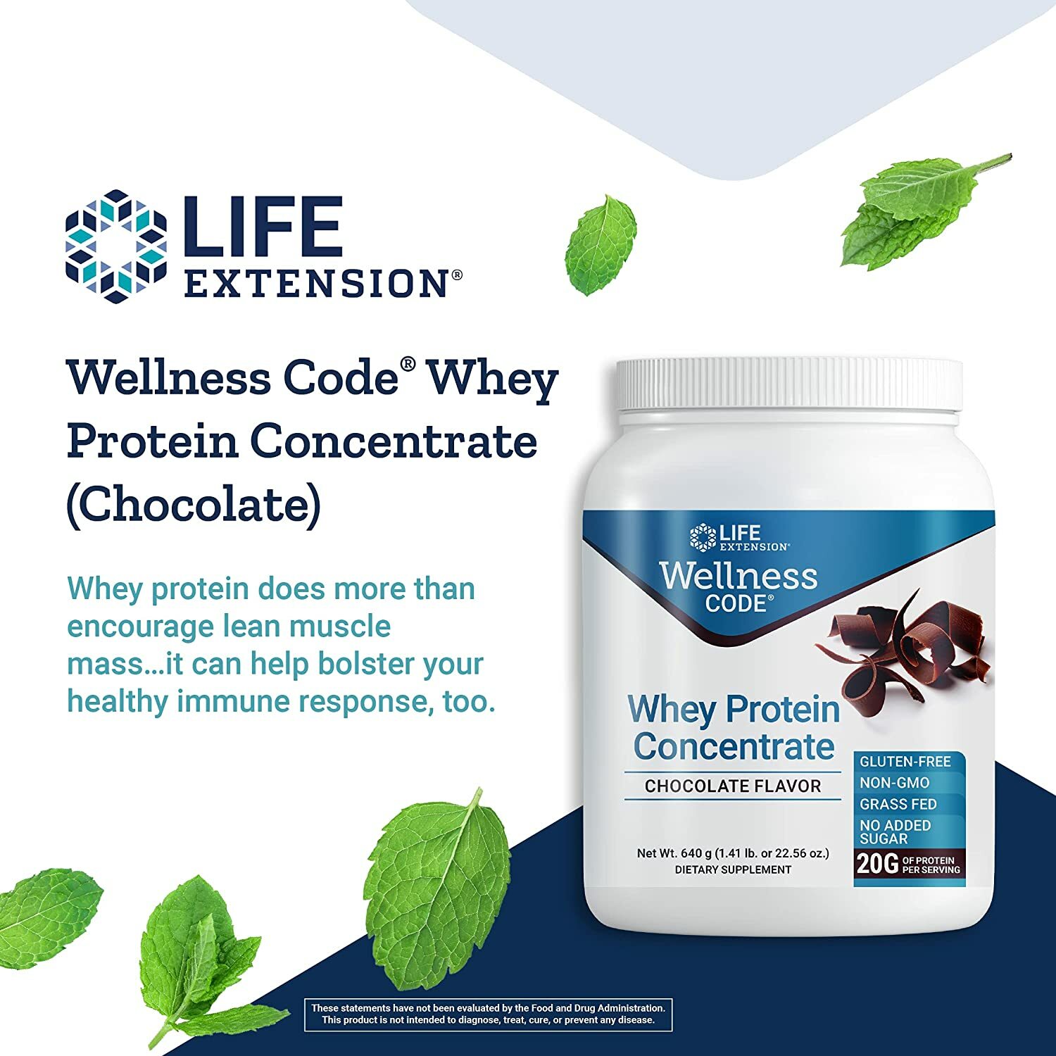 Life Extension Whey Protein Concentrate Chocolate Muscle Growth & Immune 2 Pack